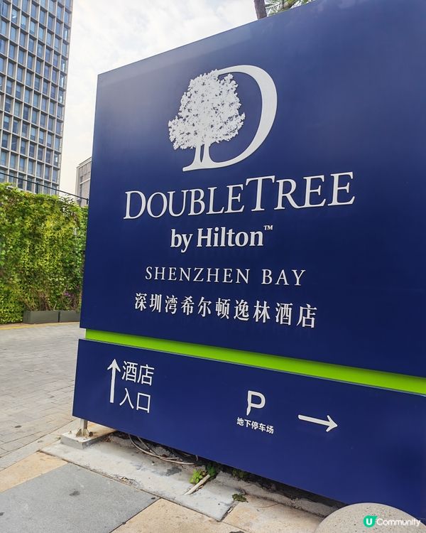 深圳灣 chill 假 🥳🏖️