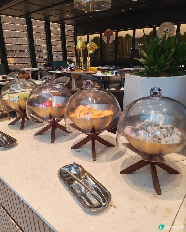 深圳逸林酒店歎自助早餐☕️✨