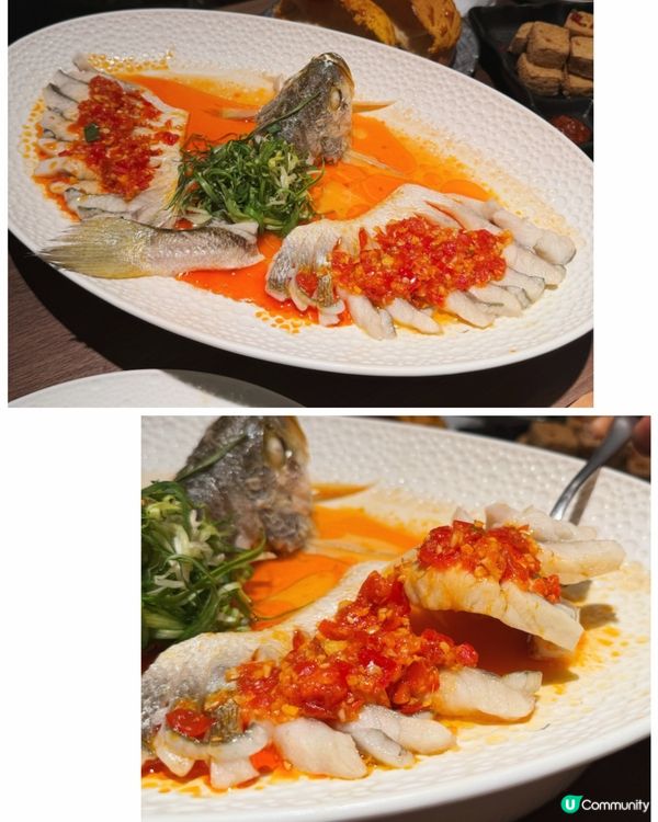 朗豪坊全新手工粵菜✨飲飽食醉‼️