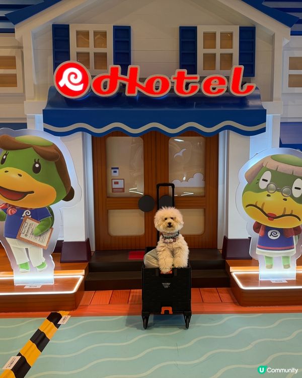 【《集合啦!動物森友會 Nintendo Switch 2 ...