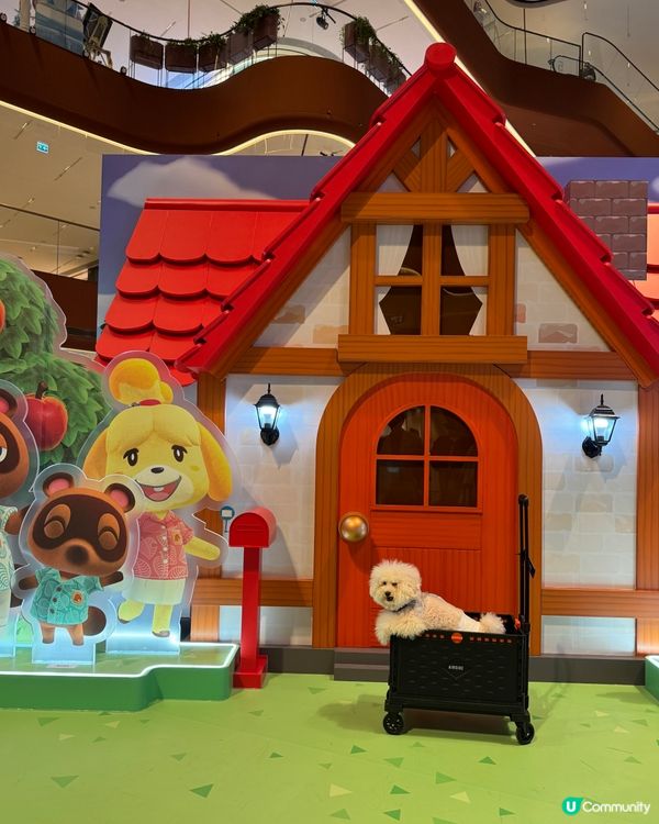 【《集合啦!動物森友會 Nintendo Switch 2 ...