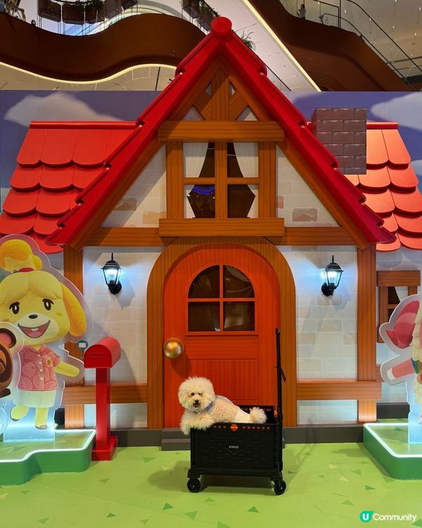 【《集合啦!動物森友會 Nintendo Switch 2 ...