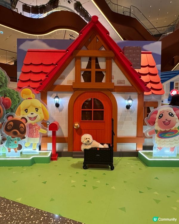 【《集合啦!動物森友會 Nintendo Switch 2 ...