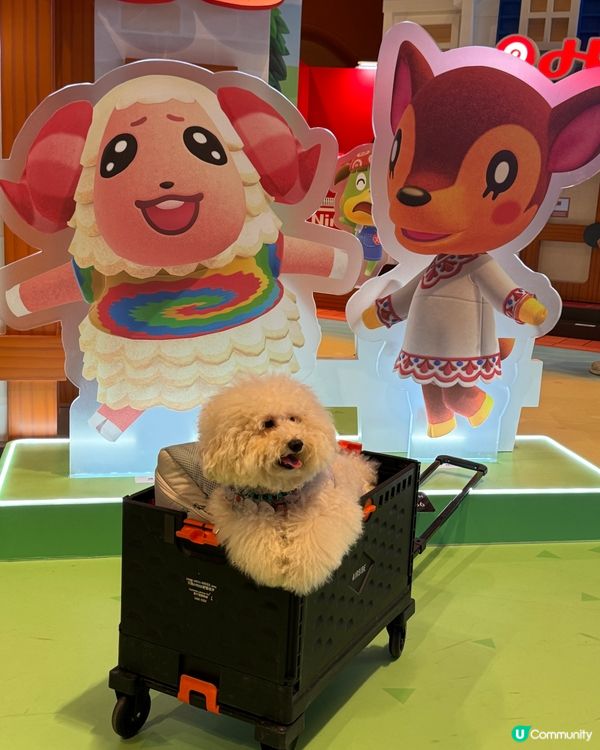 【《集合啦!動物森友會 Nintendo Switch 2 ...