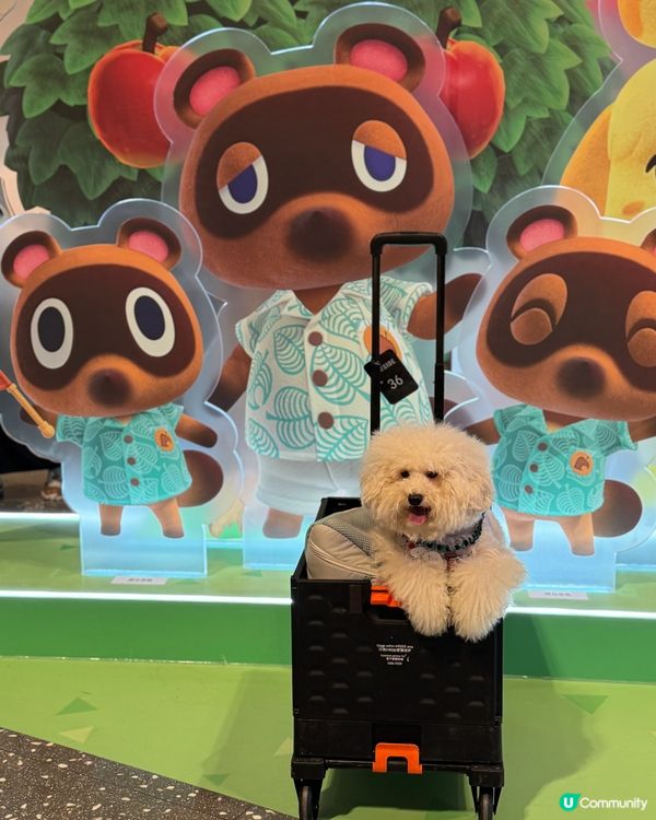 【《集合啦!動物森友會 Nintendo Switch 2 ...