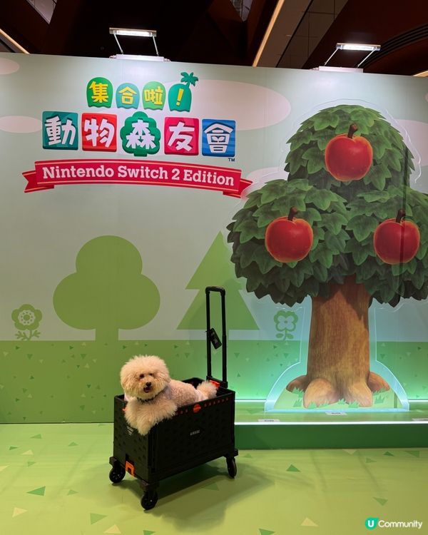 【《集合啦!動物森友會 Nintendo Switch 2 ...