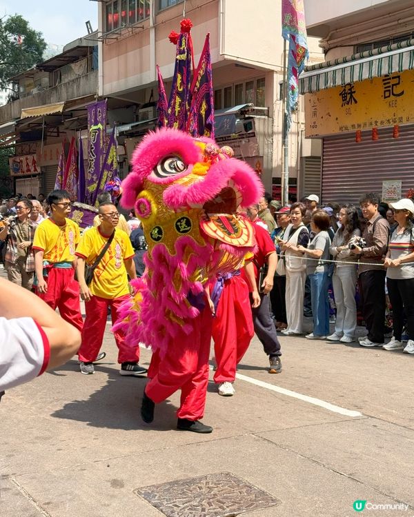 鴨脷洲洪聖傳統文化節