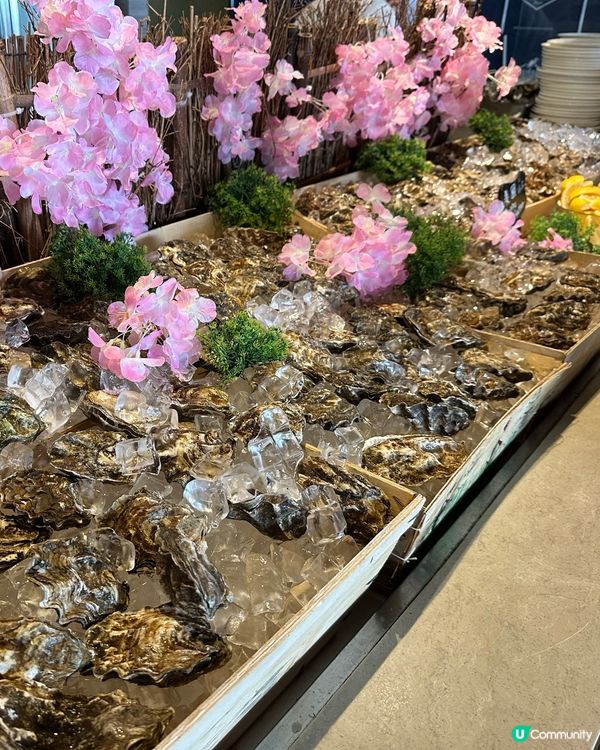 一定冇下次嘅自助餐😡👎，真係令人大開眼界！