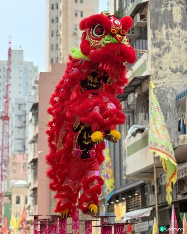 鴨脷洲洪聖傳統文化節2026