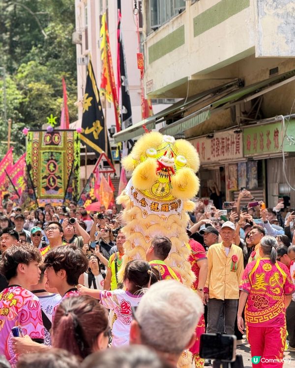 鴨脷洲洪聖傳統文化節2026