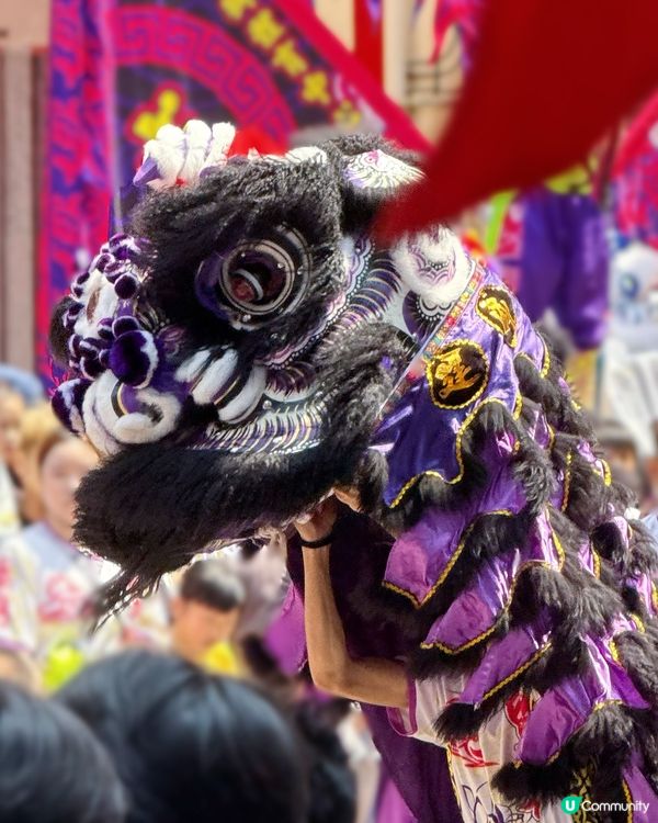 🌟鴨脷洲洪聖傳統文化節2026