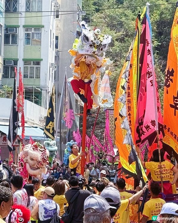 🌟鴨脷洲洪聖傳統文化節2026