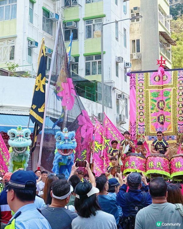 🌟鴨脷洲洪聖傳統文化節2026