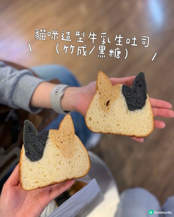 超可愛貓咪吐司！🍞🐱療癒系甜點🍰✨