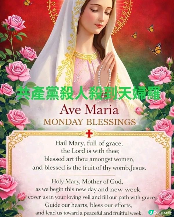 日本人繼承共產黨非法入境者