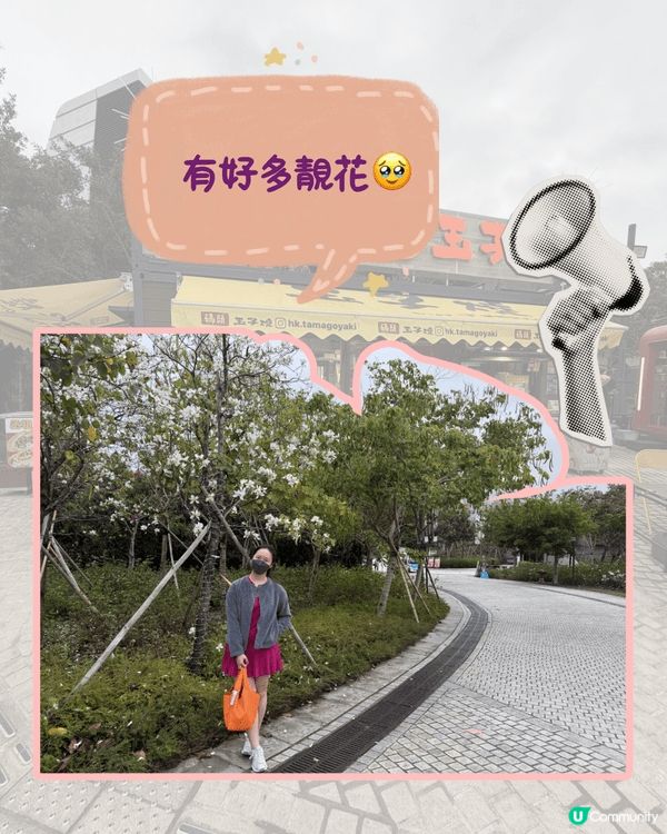 呢日我去左久違嘅西九龍，發現開左好多新食鋪，睇黎我真係好耐無...