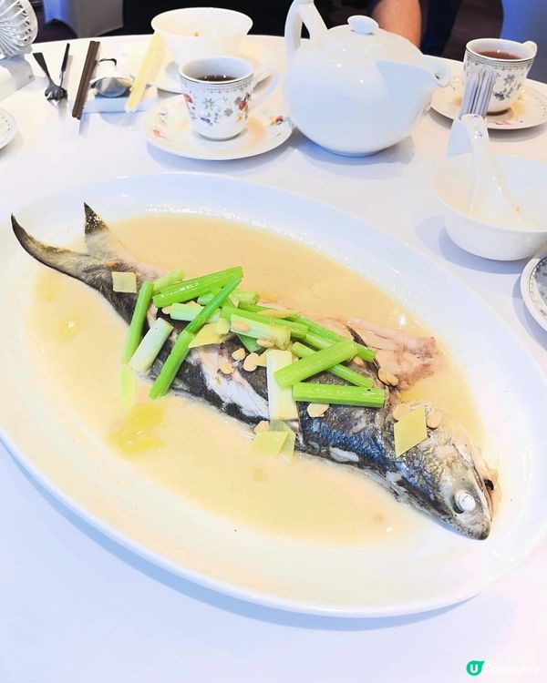 足料花膠羹與腍滑炆鵝