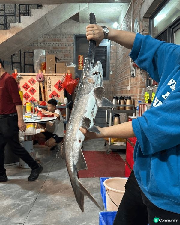 💜佛山西樵隱世私房菜・上集💜意外收穫嘅地道美味