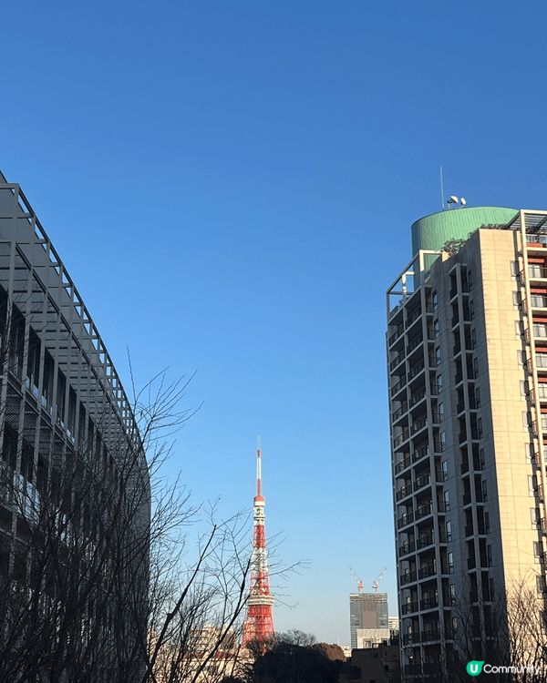 🌌 六本木櫸坂冬日限定：漫步藍白燈海隧道，天橋俯瞰東京鐵塔絕...