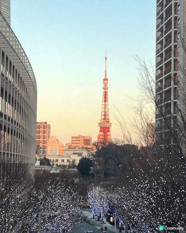 🌌 六本木櫸坂冬日限定：漫步藍白燈海隧道，天橋俯瞰東京鐵塔絕...