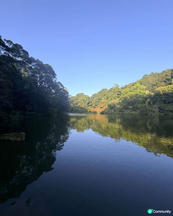 珠海弘法寺，座落香洲區鳳凰山麓，是一座風景清幽、規模宏大的觀...