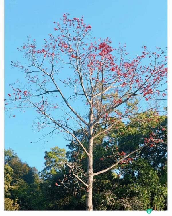 珠海弘法寺，座落香洲區鳳凰山麓，是一座風景清幽、規模宏大的觀...