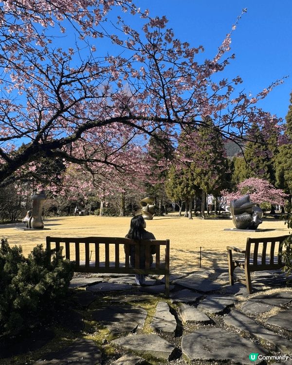 箱根雕刻森林美術館是日本首座野外美術館，將藝術與大自然完美融...