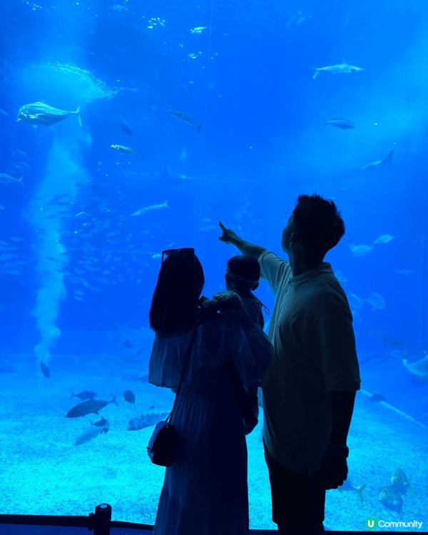 1. 台北紅樓：紅磚建築在燈光下顯得復古又浪漫，是西門町的必...