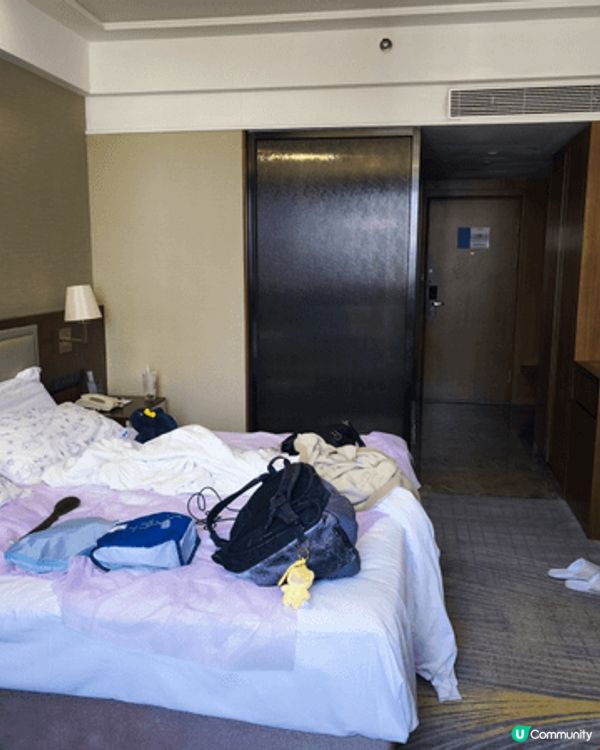 深圳，海雅繽紛城，寵物店內擼貓貓，店內的貓貓都很乖很親人，亦...