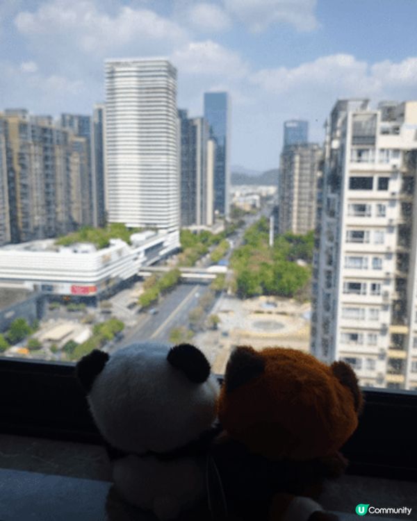 深圳，海雅繽紛城，寵物店內擼貓貓，店內的貓貓都很乖很親人，亦...