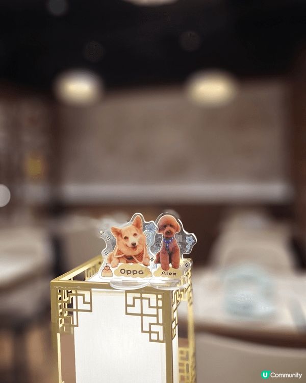 🌟 荃灣文樂園：