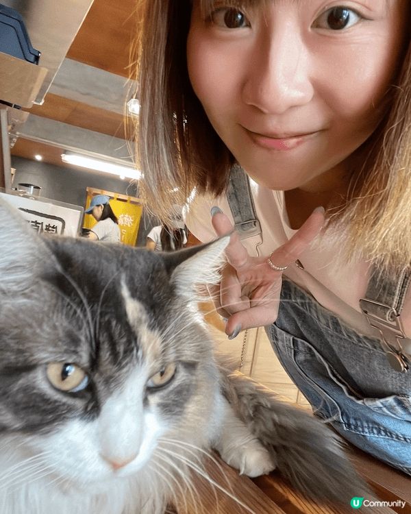 高雄既獺咖啡-武廟店☕️有懶訓既貓店長💛 咖啡同吐司都好好味...