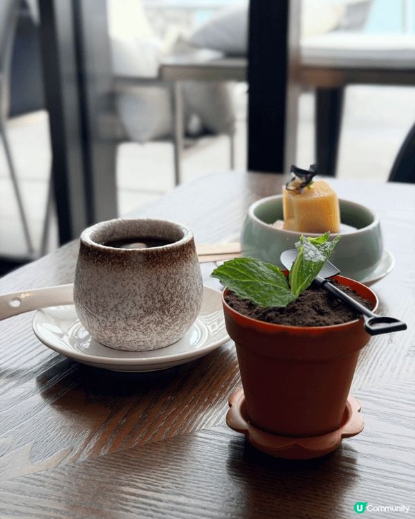 日式放題食得多，中菜點心放題都要嚟分一杯羹！最難得係食物質素...