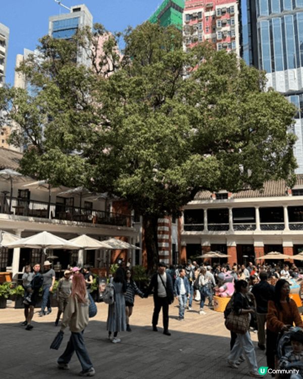 三希樓的片皮燒鵝好好味～