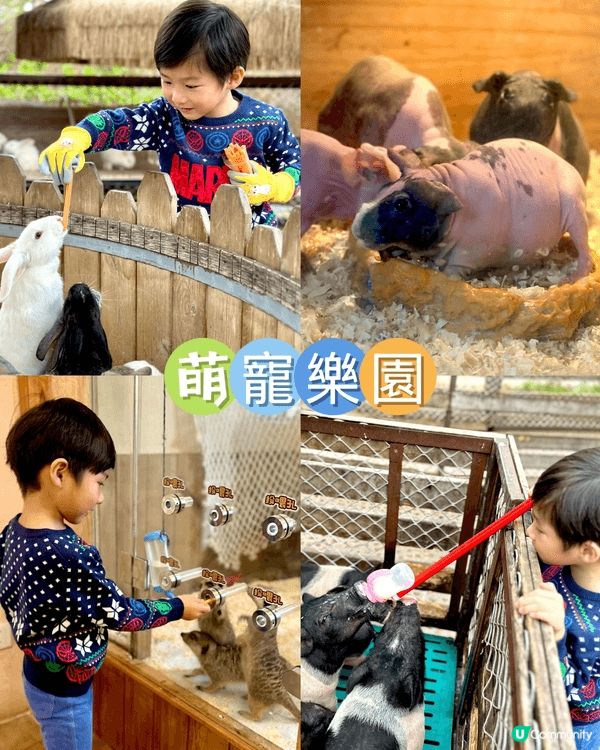 珠海好好玩 喺酒店附近已經有寵物樂園 有神秘島 有溫泉 ，可...