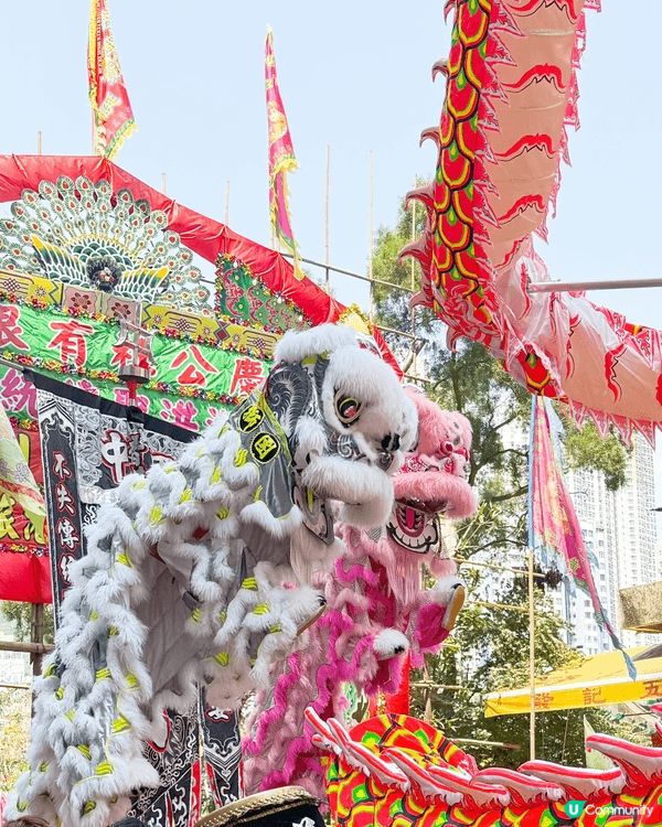 百年承傳「洪聖傳統文化節」，估唔到咁多嘢睇，祈福放水燈」、「...
