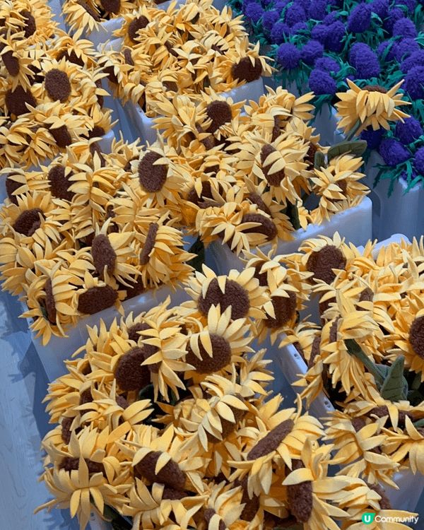 排2.5個鐘只為呢個！終於入到CJ Hendry中環毛絨花市...