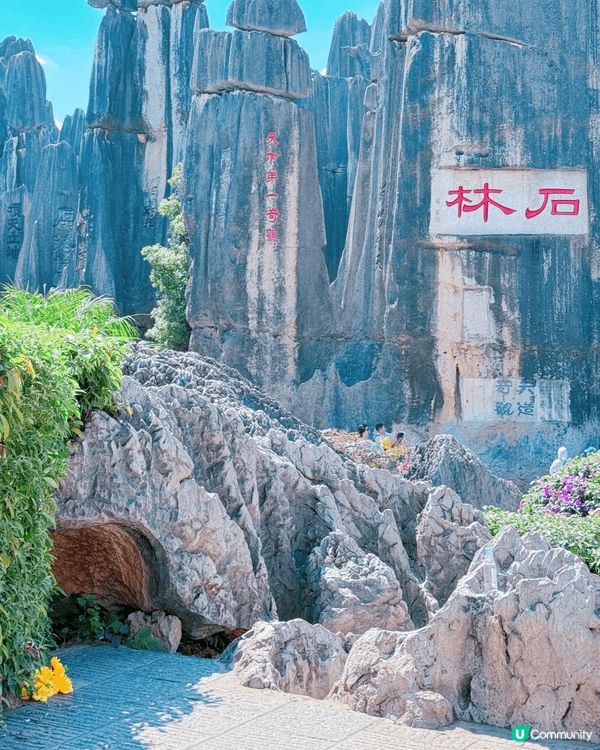 親子遊！鬼斧神工靚到震 🤩 雲南石林