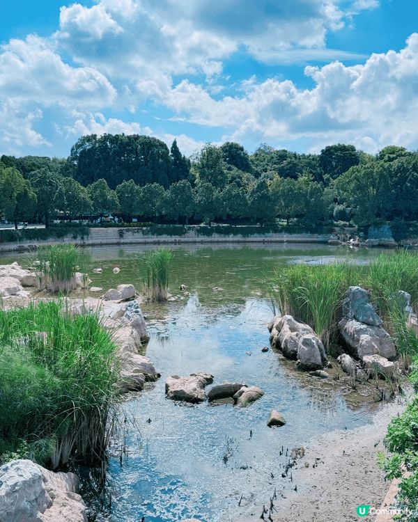 親子遊！鬼斧神工靚到震 🤩 雲南石林