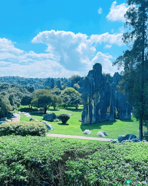 親子遊！鬼斧神工靚到震 🤩 雲南石林