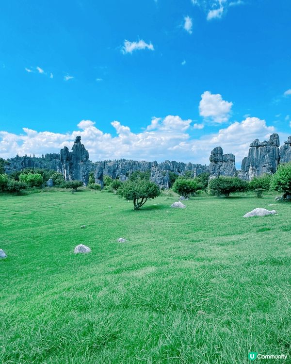 親子遊！鬼斧神工靚到震 🤩 雲南石林