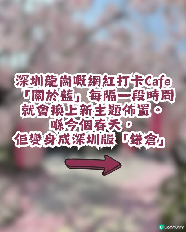 深圳網紅Cafe變身花海版「鎌倉」🌸附6大打卡位