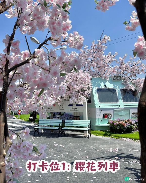 深圳網紅Cafe變身花海版「鎌倉」🌸附6大打卡位