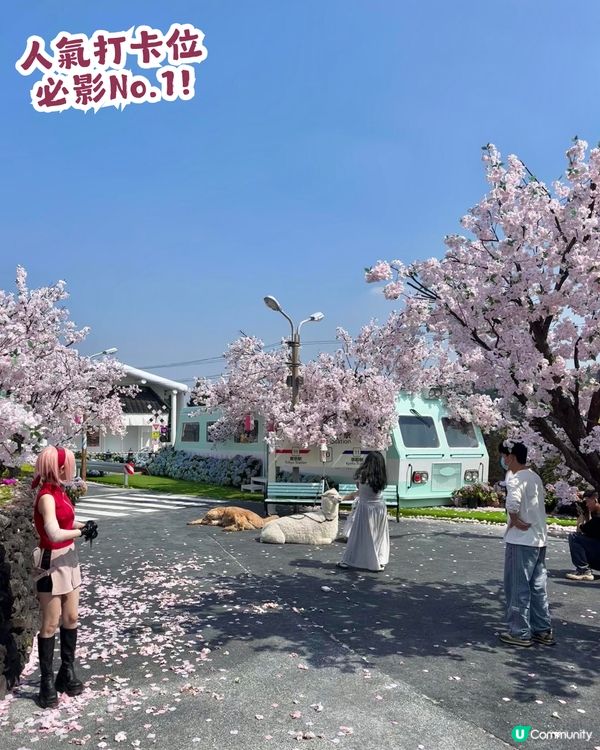 深圳網紅Cafe變身花海版「鎌倉」🌸附6大打卡位