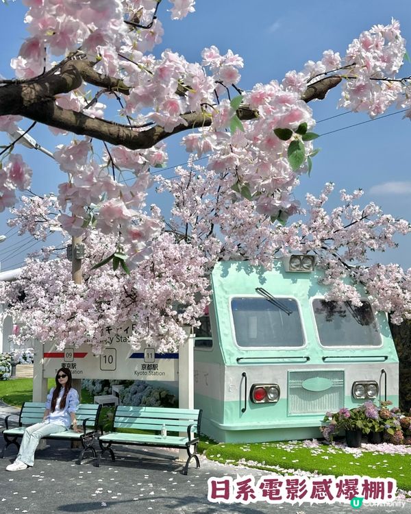 深圳網紅Cafe變身花海版「鎌倉」🌸附6大打卡位