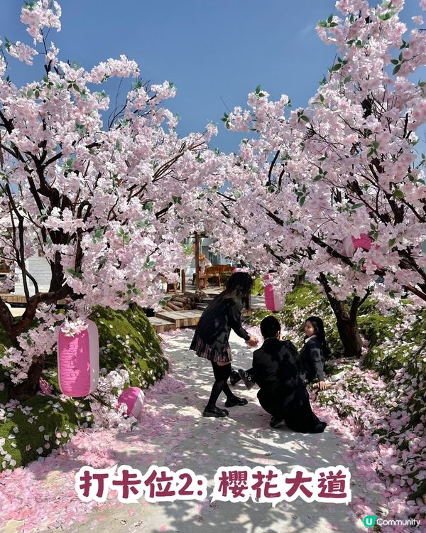 深圳網紅Cafe變身花海版「鎌倉」🌸附6大打卡位