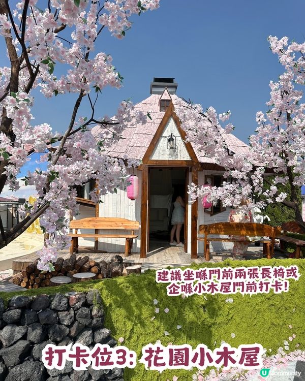 深圳網紅Cafe變身花海版「鎌倉」🌸附6大打卡位