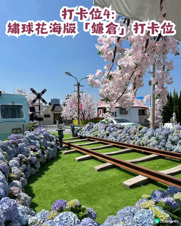 深圳網紅Cafe變身花海版「鎌倉」🌸附6大打卡位