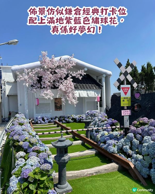 深圳網紅Cafe變身花海版「鎌倉」🌸附6大打卡位