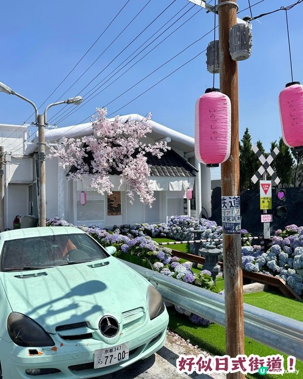 深圳網紅Cafe變身花海版「鎌倉」🌸附6大打卡位